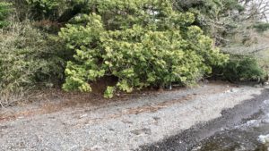 箱根湾奥