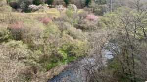 見下ろす川
