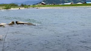 ヒットポイント魚野川