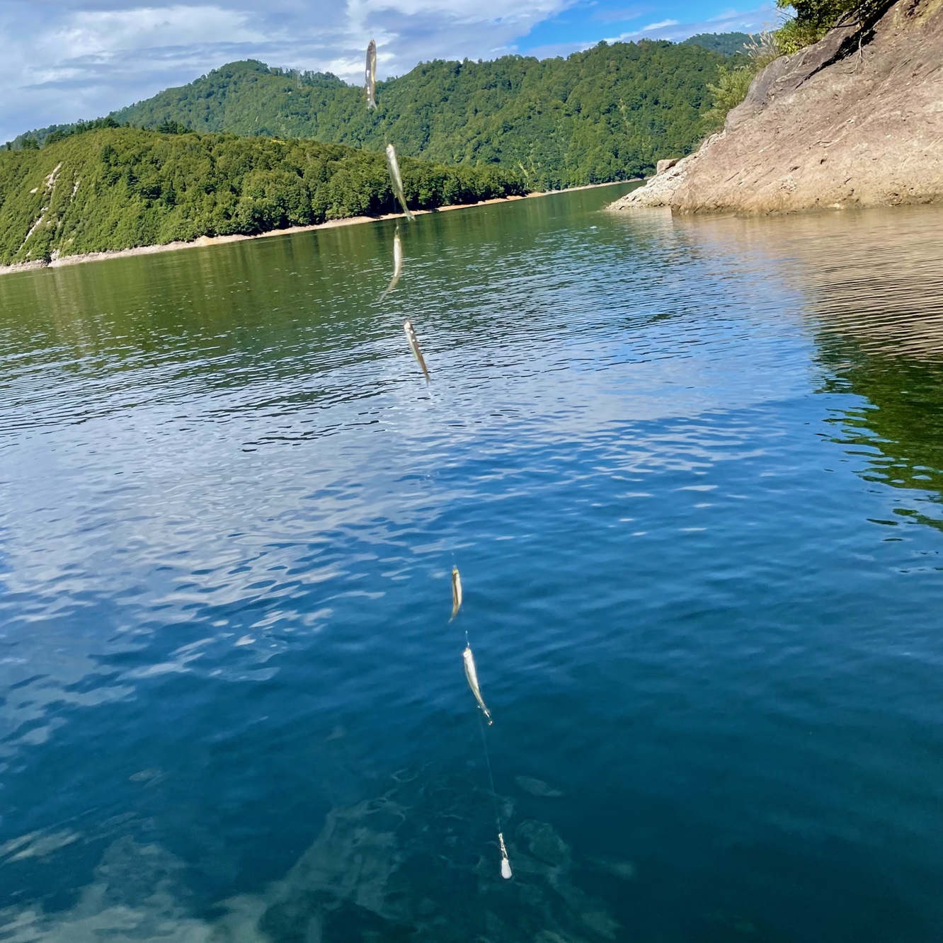 銀山湖のワカサギ釣り